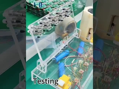 परीक्षण